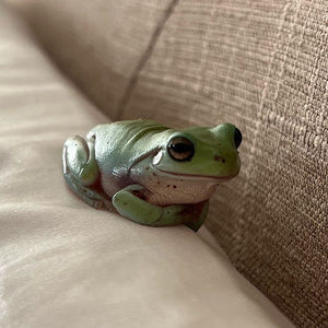 Meet your Posher, Caroline